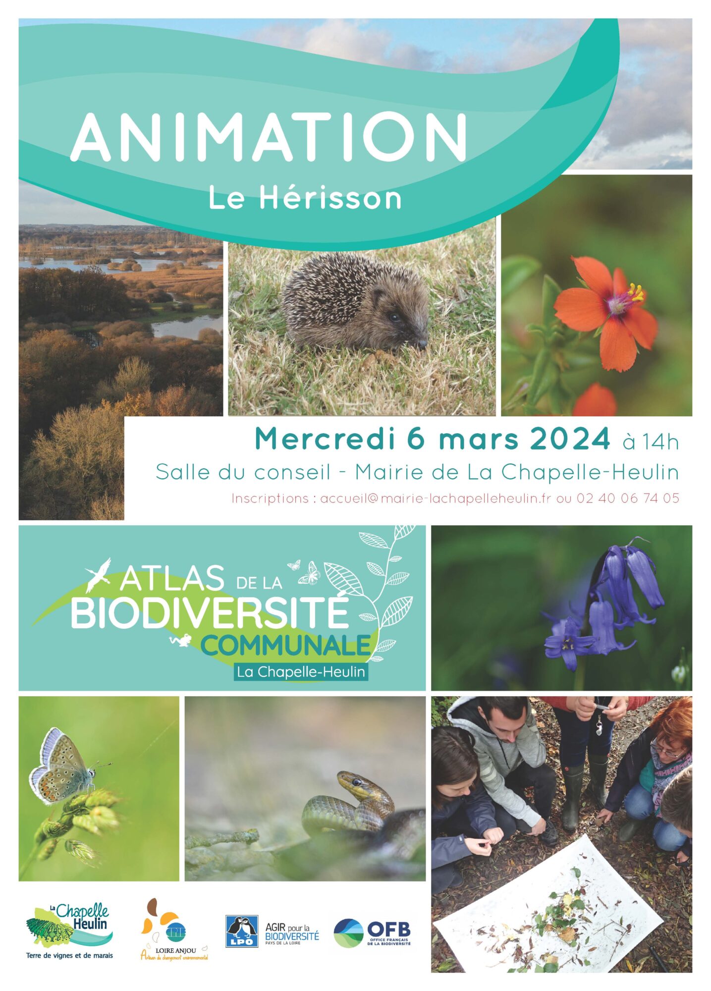 [ATLAS de la BIODIVERSITÉ] - Animation sur le hérisson | Mairie de La ...